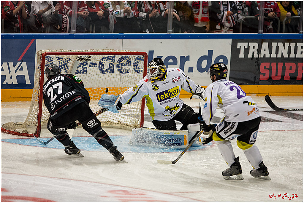 Koelner Haie - Krefeld Pinguine , 23.09.16(KW38)
